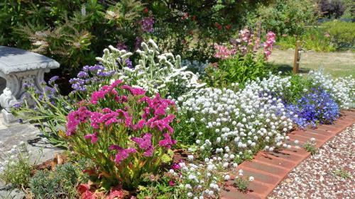 Bed & Breakfast Orana House
