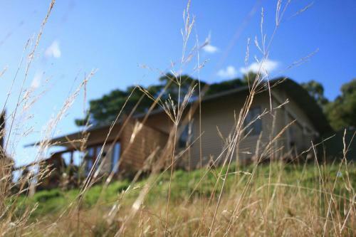 Lodge Gisborne Peak Winery Eco-cottages