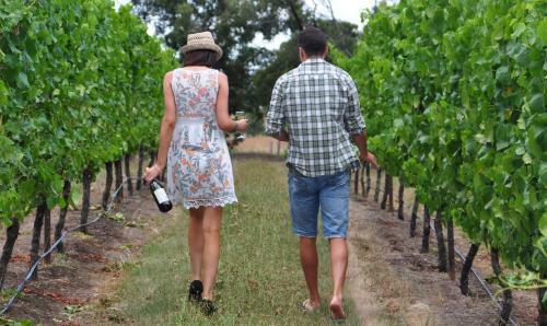 Lodge Gisborne Peak Winery Eco-cottages