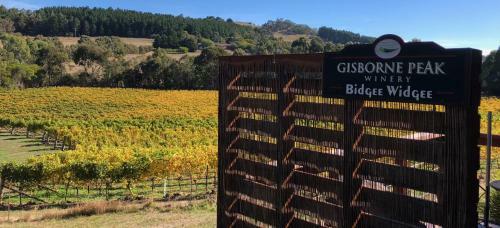 Lodge Gisborne Peak Winery Eco-cottages