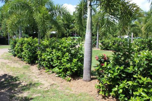 Dunk Island View Caravan Park