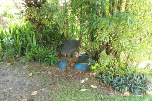 Dunk Island View Caravan Park