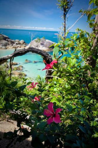 Dunk Island View Caravan Park
