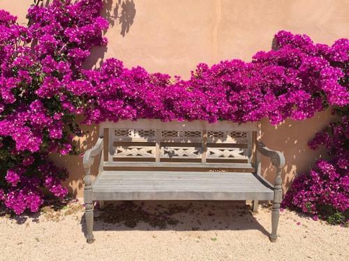Villa Finca El Idilio
