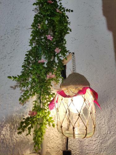 Albergue Refugi De Muntanya Els Masets