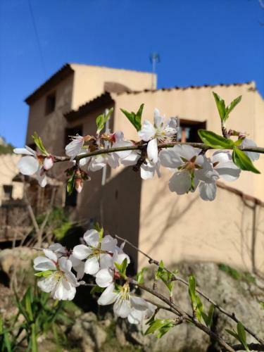 Albergue Refugi De Muntanya Els Masets