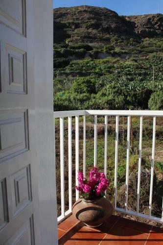 Nataly�s Home