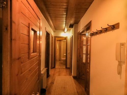Apartamento Aneto