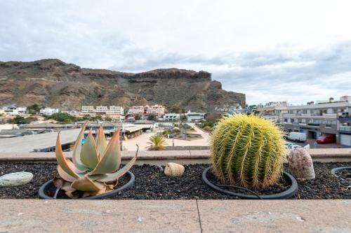 Apartamento Amarre Sunrise