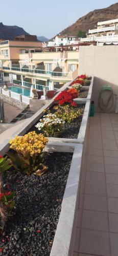 Apartamento Ca'luis