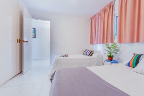 Apartamento Homes & Go Bell Raco Basic II