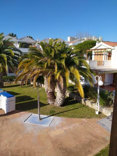 Apartamento Dafne's Beach