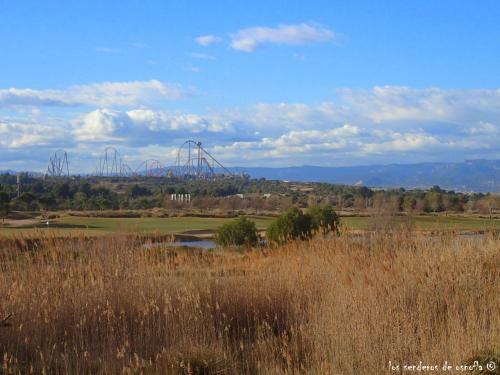 Apartamento Playa Y Golf La Pineda