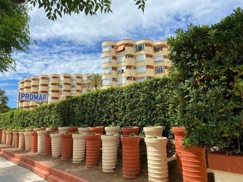 Apartamento La Pineda Playa