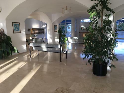 Apartamento Punta Prima 229