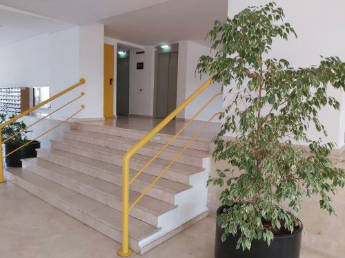 Apartamento Estival Parc, Punta Prima 2
