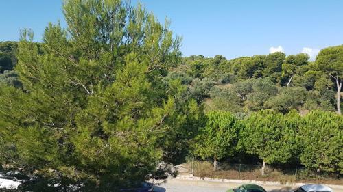 Apartamento Punta Prima Estival Park