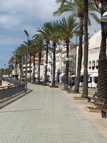 Apartamento Can Sol�