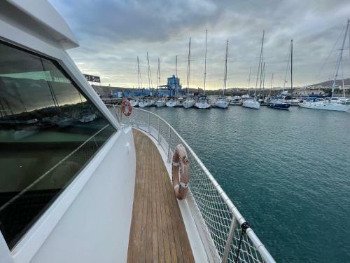 Wonderful Yatch To Rent At Tenerif South