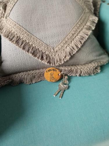 Apartamento Fio De Neu