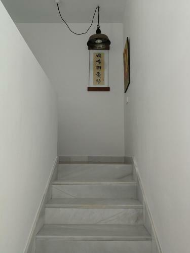 Casa Euphorbia