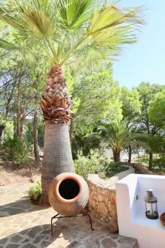 Apartamento Studio Deluxe F�r 2