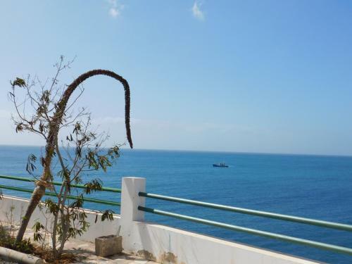 Apartamento Casa Marina