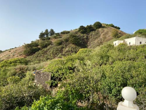 Casas Rurales Tio Antonio