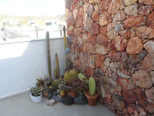 Apartamento Encantador