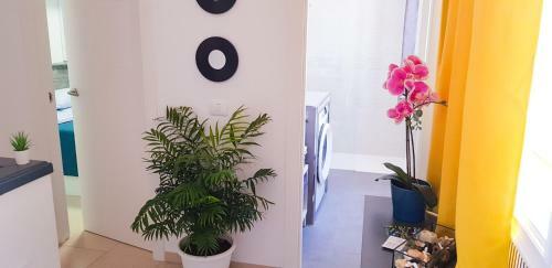 Apartamento Ke Casetta Tenerife 2