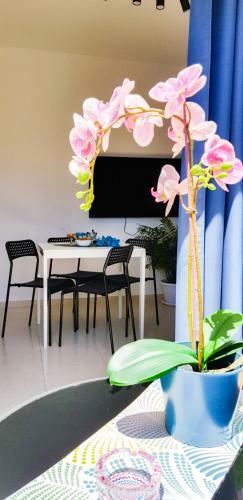 Apartamento Ke Casetta Tenerife 2