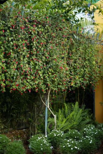 Apartamento Xuka House