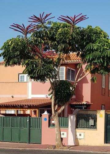 Rosas By Villas Rinamar