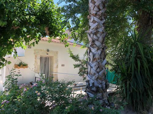 Casa En Huerta Murcia