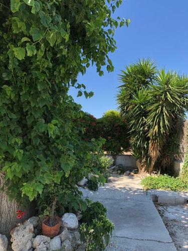 Casa En Huerta Murcia