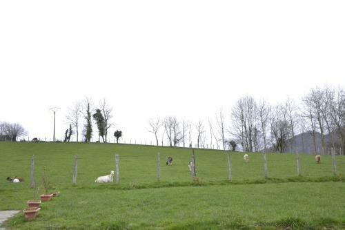 Casa Rural Arriaran