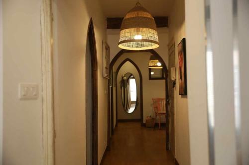 Apartamento Ichigoichie