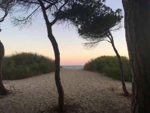 Islantilla Golf