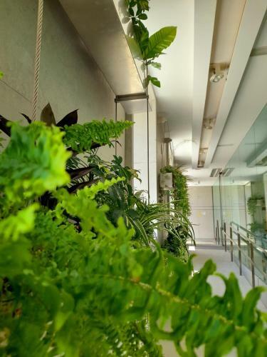 Hotel Ceres