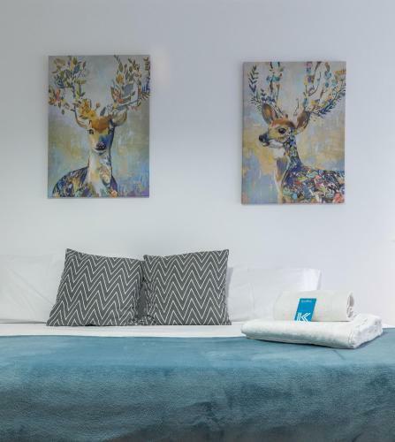 Apartamento Antiguako - Baskey Rentals
