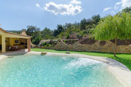 Club Villamar - Guzmania