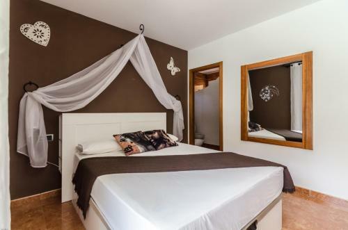 Club Villamar - Guzmania