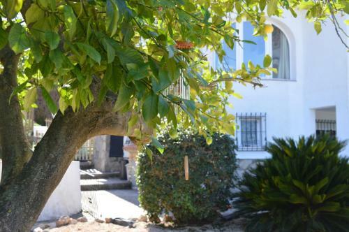 Apartamento Casa Jiby
