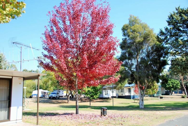 Beechworth Lake Sambell Caravan Park