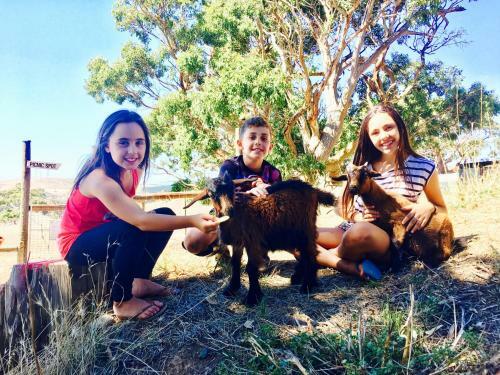 Agroturismo Morella Farm