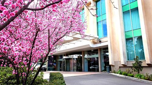 Hotel Rydges Capital Hill Canberra