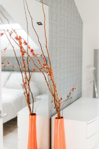Apartamentos Mk77 Le�n - Cantareros