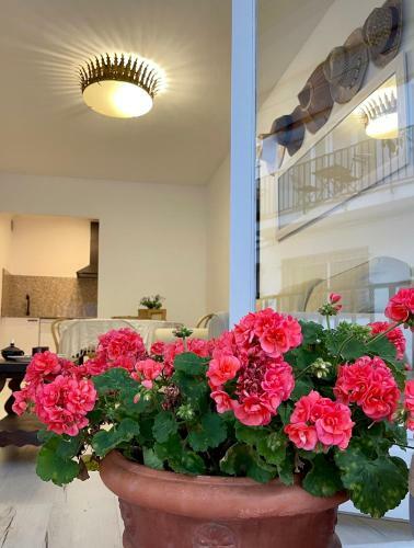 Llafranc Apartamento Reformado 2min Andando Playa Parking Privado Gratis