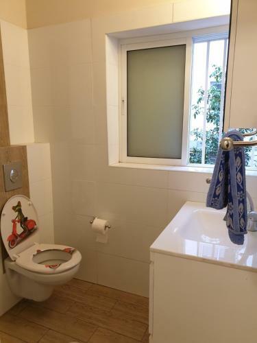 Comfortable Apartment