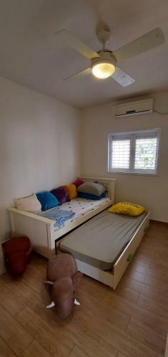 Comfortable Apartment